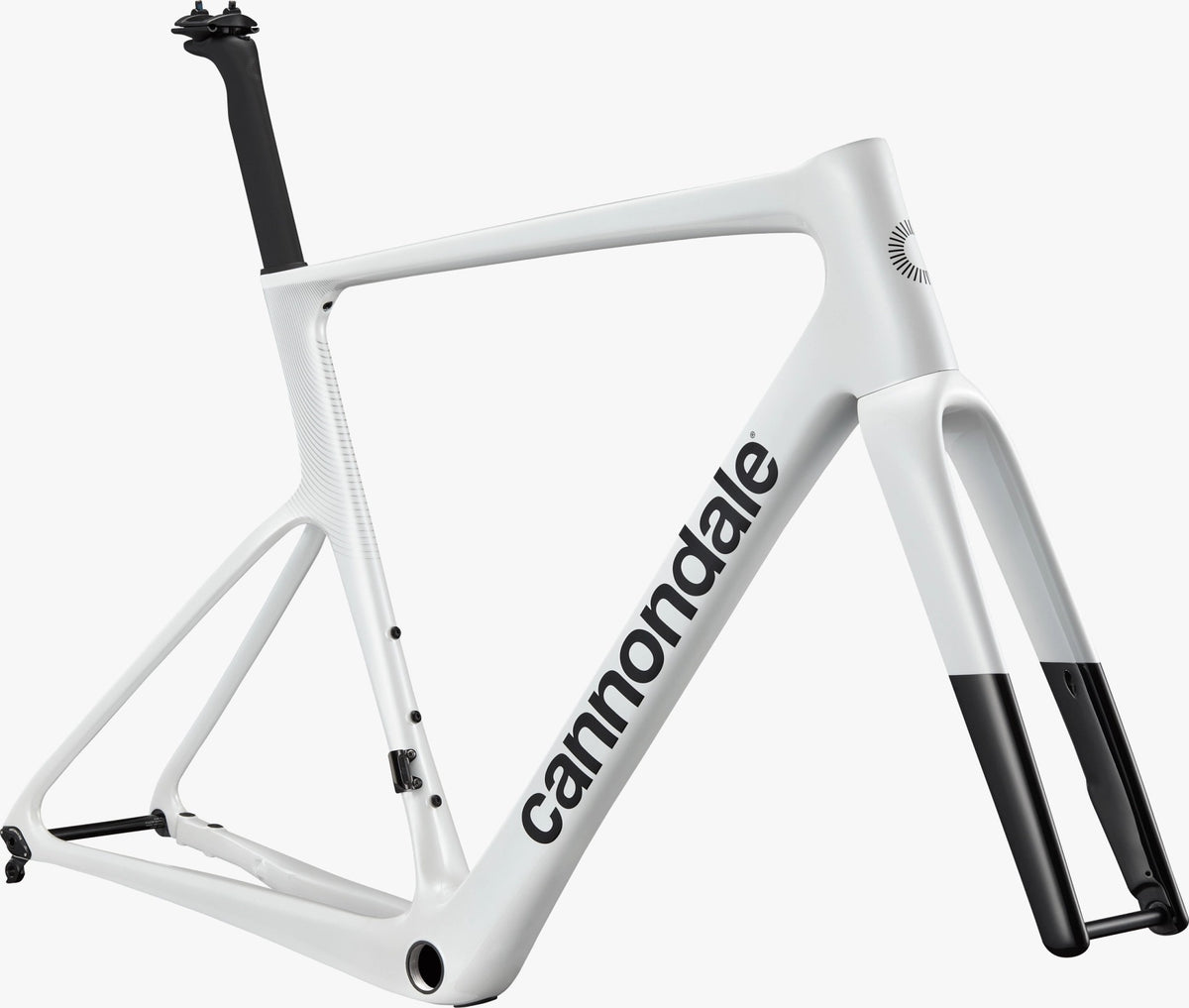 CANNNONDALE SuperSix EVO Carbon Frameset (SILVER) – BICYCLE STUDIO