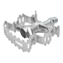 画像をギャラリービューアに読み込む, AURORA (SILVER)