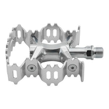 画像をギャラリービューアに読み込む, AURORA (SILVER)