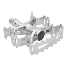 画像をギャラリービューアに読み込む, AURORA (SILVER)