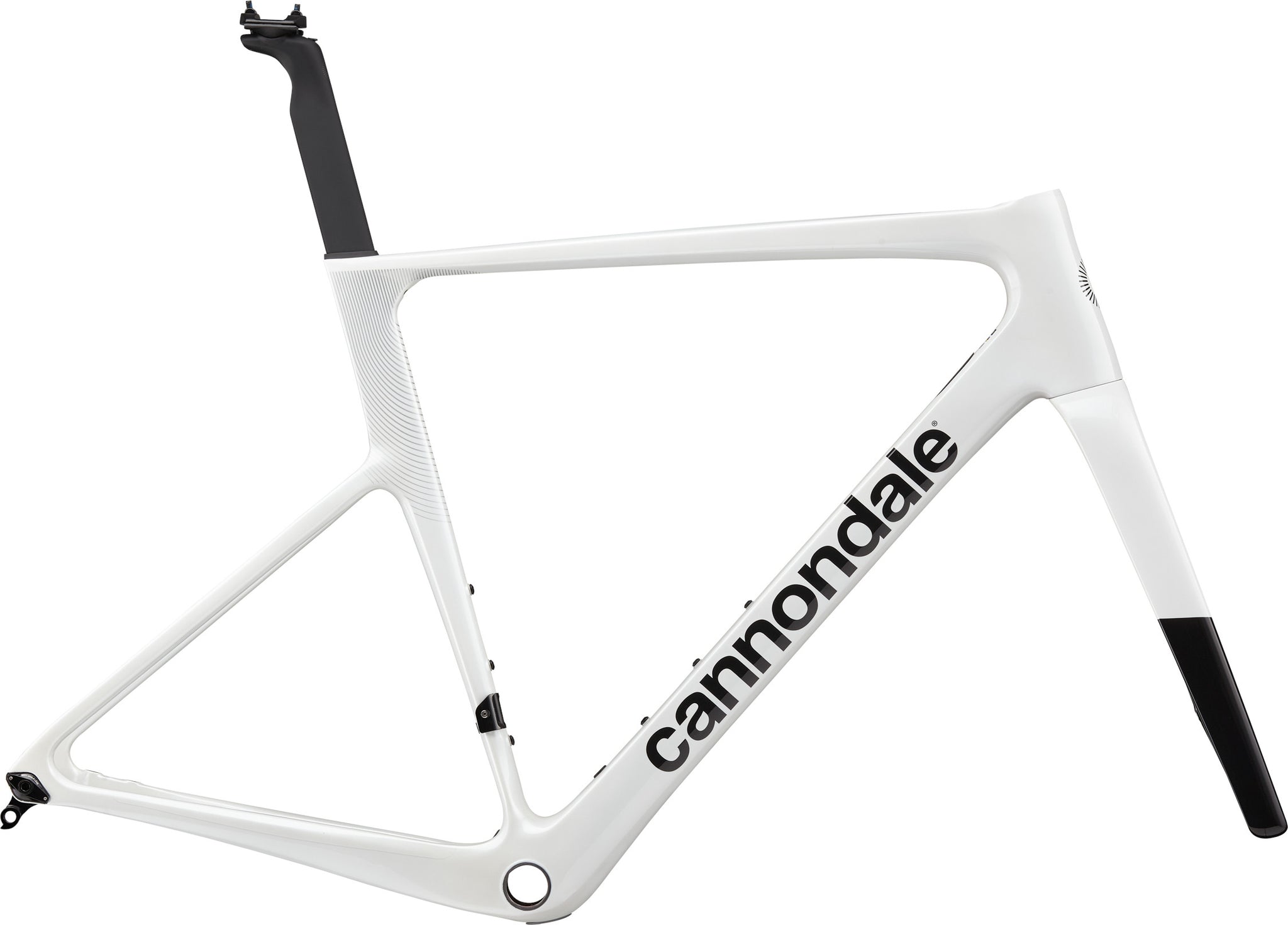 CANNNONDALE SuperSix EVO Carbon Frameset (SILVER) – BICYCLE STUDIO
