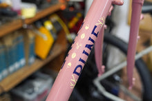 画像をギャラリービューアに読み込む, KNIGHTWOOD FRAME SET (Salmon Rose)