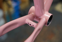 画像をギャラリービューアに読み込む, KNIGHTWOOD FRAME SET (Salmon Rose)