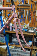 画像をギャラリービューアに読み込む, KNIGHTWOOD FRAME SET (Salmon Rose)