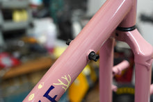 画像をギャラリービューアに読み込む, KNIGHTWOOD FRAME SET (Salmon Rose)