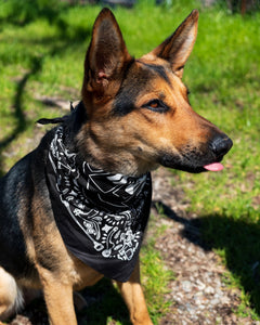 DUNE BUGGY BANDANNA