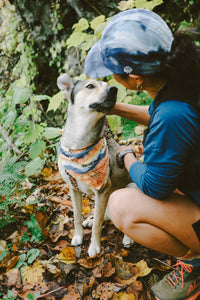 DAYDREAMER ”BANDANA” (MAGICAL MYSTERY NATURE)