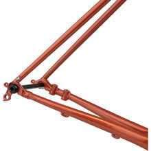 画像をギャラリービューアに読み込む, STRAGGLER FRAME/FORK SET (SHAGGY CARPET）