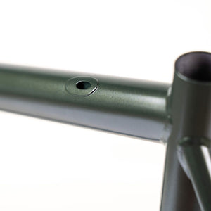 AFFINITY CYCLES 2022 lo pro track frame (champagne money)