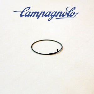 Campagnolo FH-RE114 Pawl spring (1pcs)